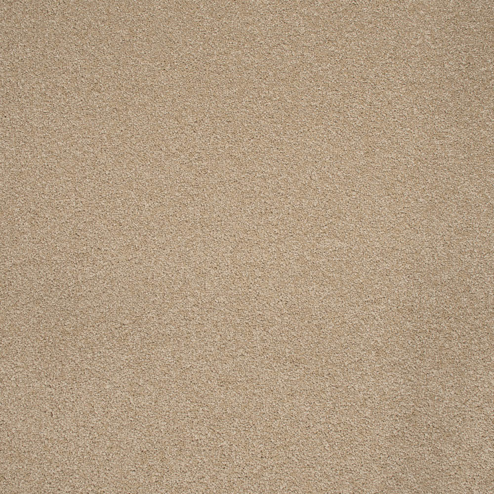 Amour - Image 11