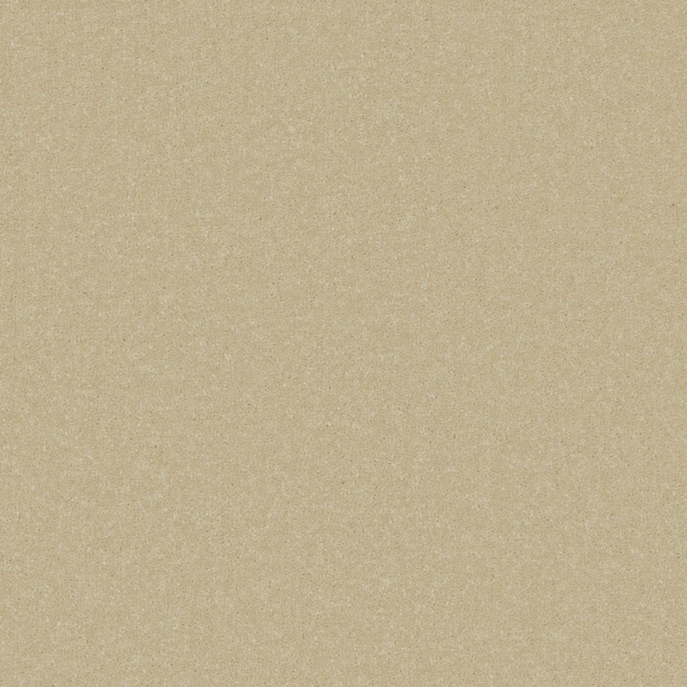 Athena - Image 3