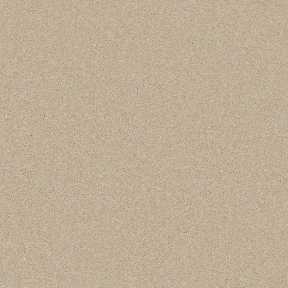 Athena - Image 5