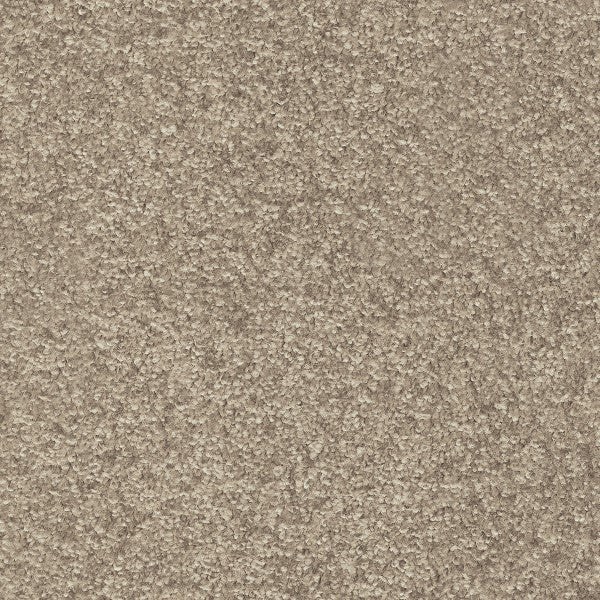 Elegance - Image 4