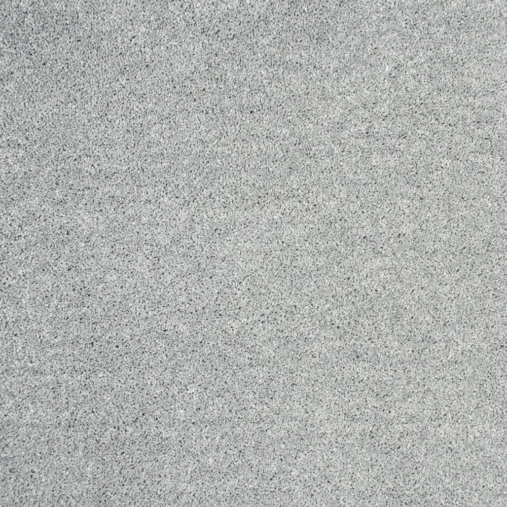 Exemplar - Image 6