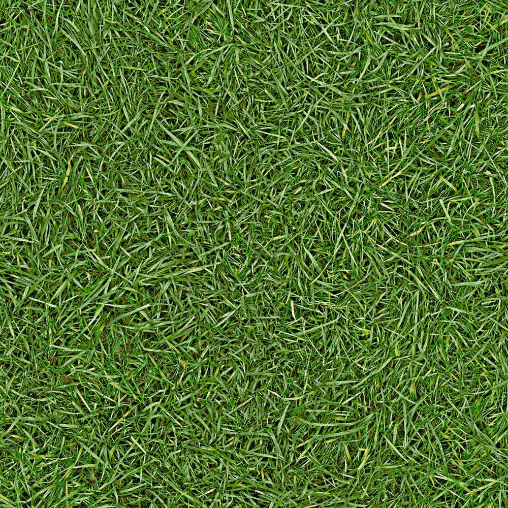 Funky Vinyl Flooring - Image 6