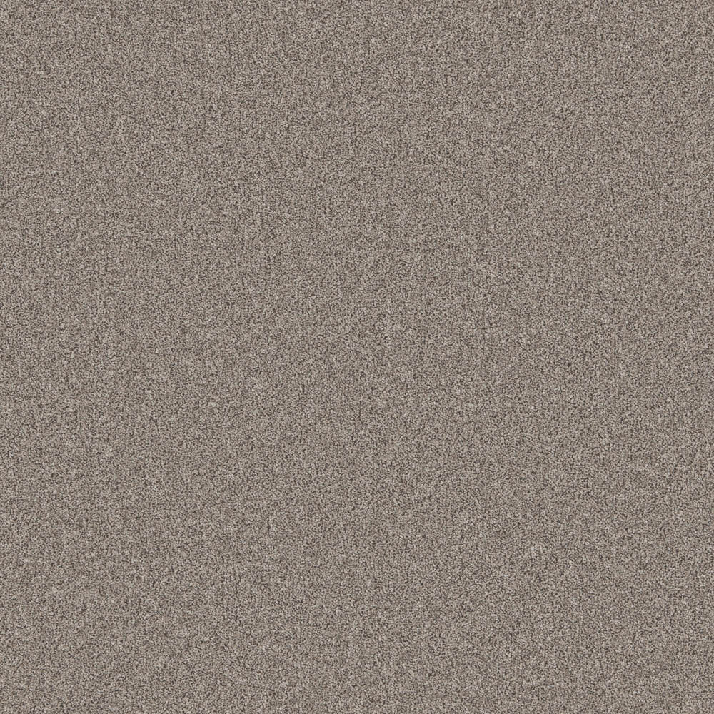 Hera - Image 5