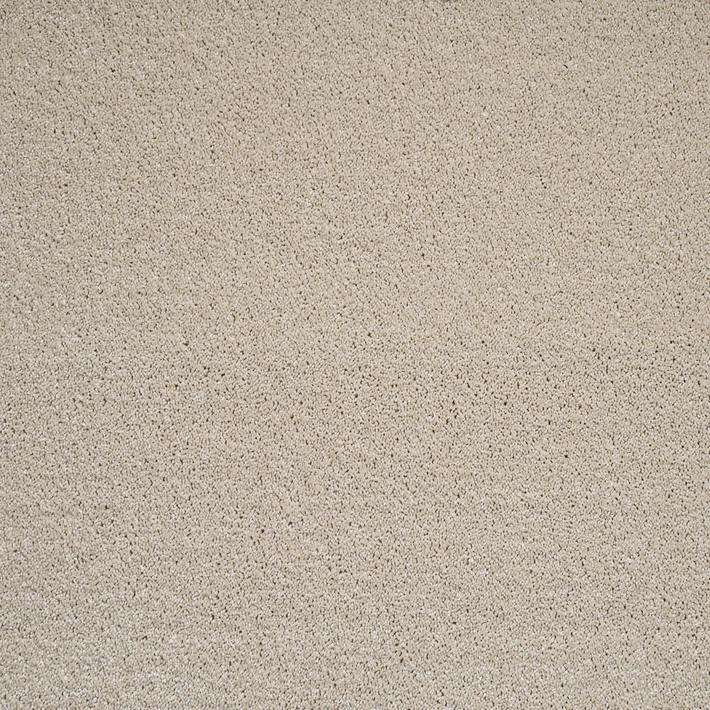 Leo - Image 10