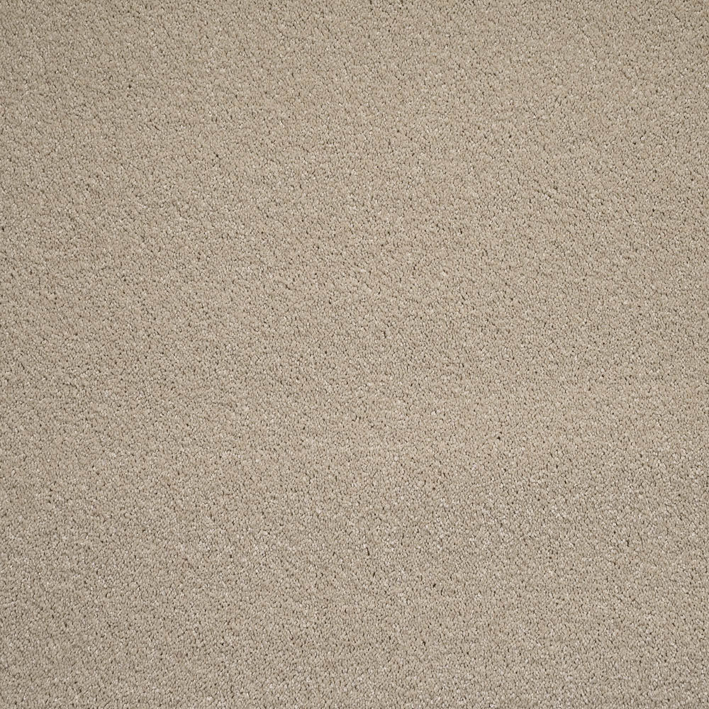 Leo - Image 11