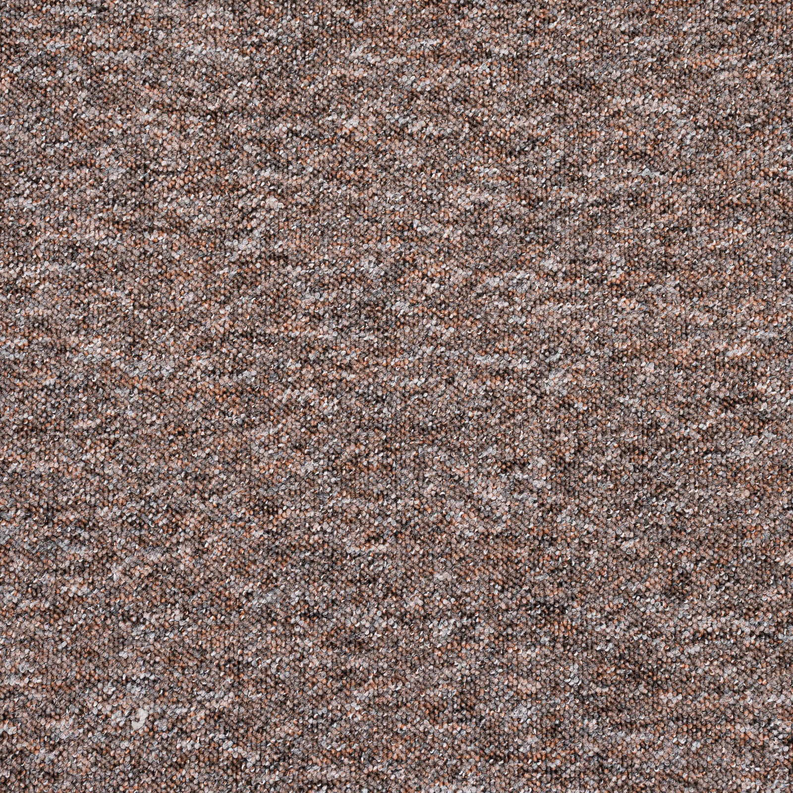 Newport Loop - Image 15