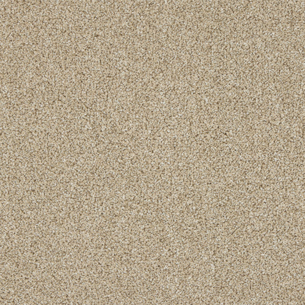 Paramount - Image 16