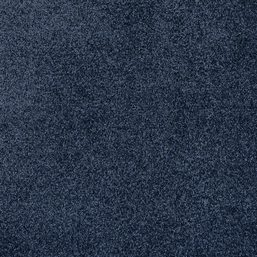 Serenade - Image 14