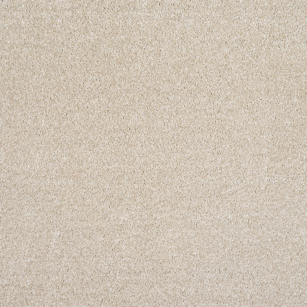 Serenade - Image 5