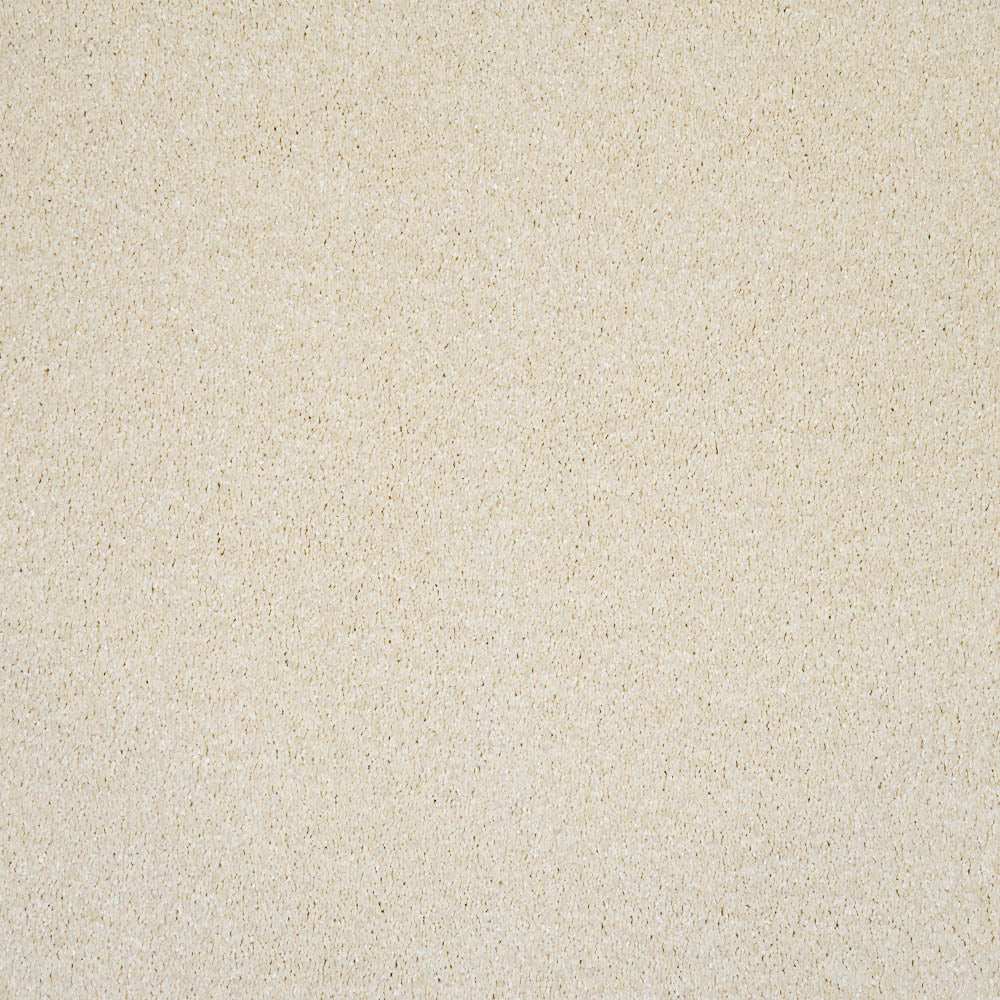 Serenade - Image 6