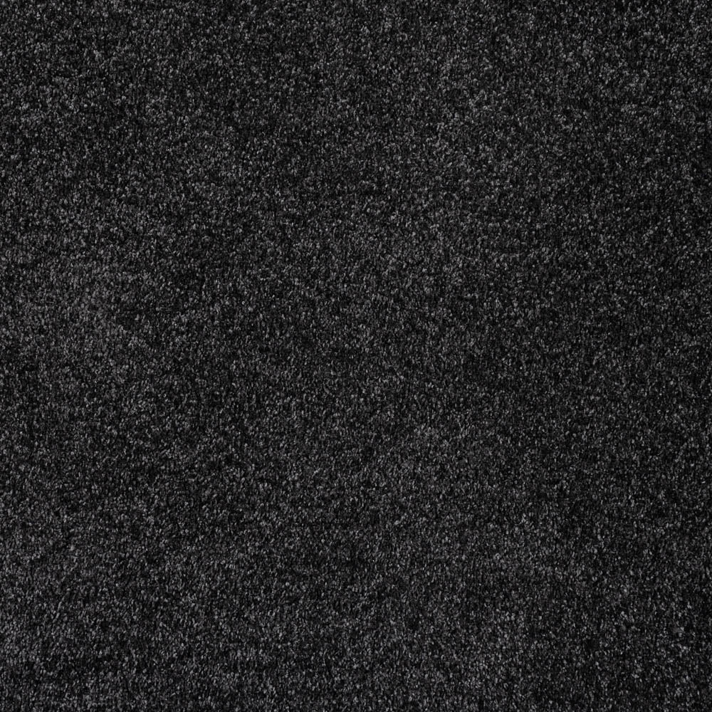 Serenade - Image 7