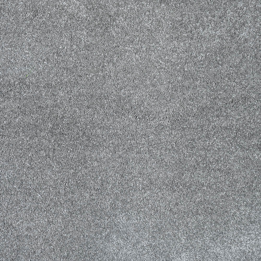 Serenade - Image 9