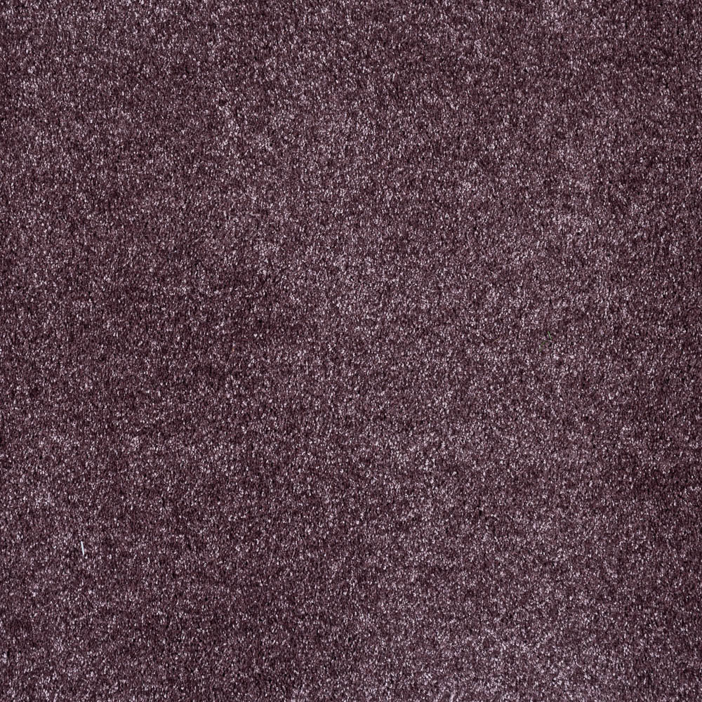 Serene - Image 12