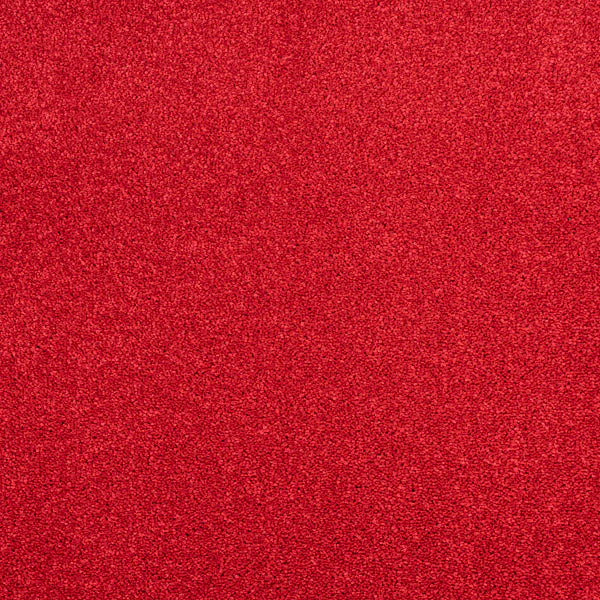 Spectrum - Image 9