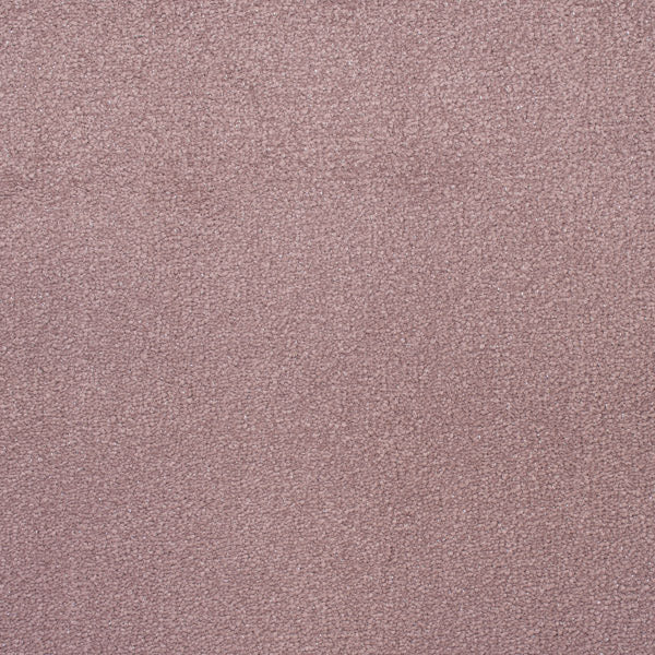 Starlight Glitter - Image 7