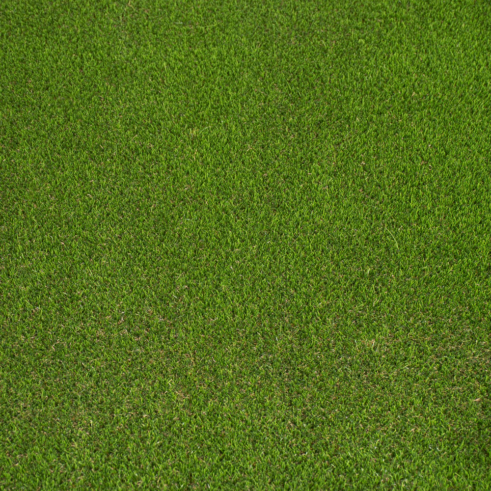 Artificial Grass in Newark