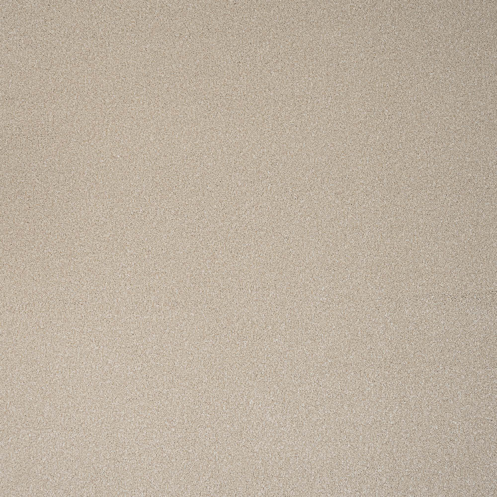 Timeless - Image 10