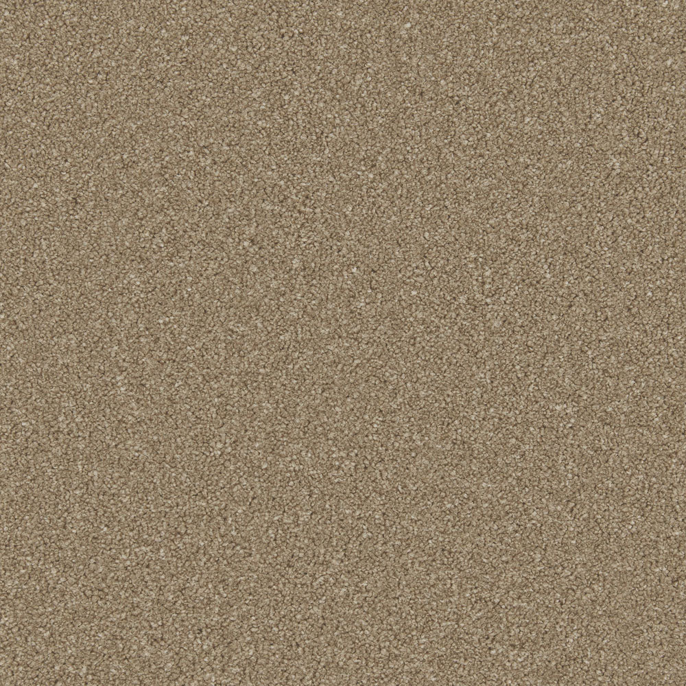 Timeless - Image 2