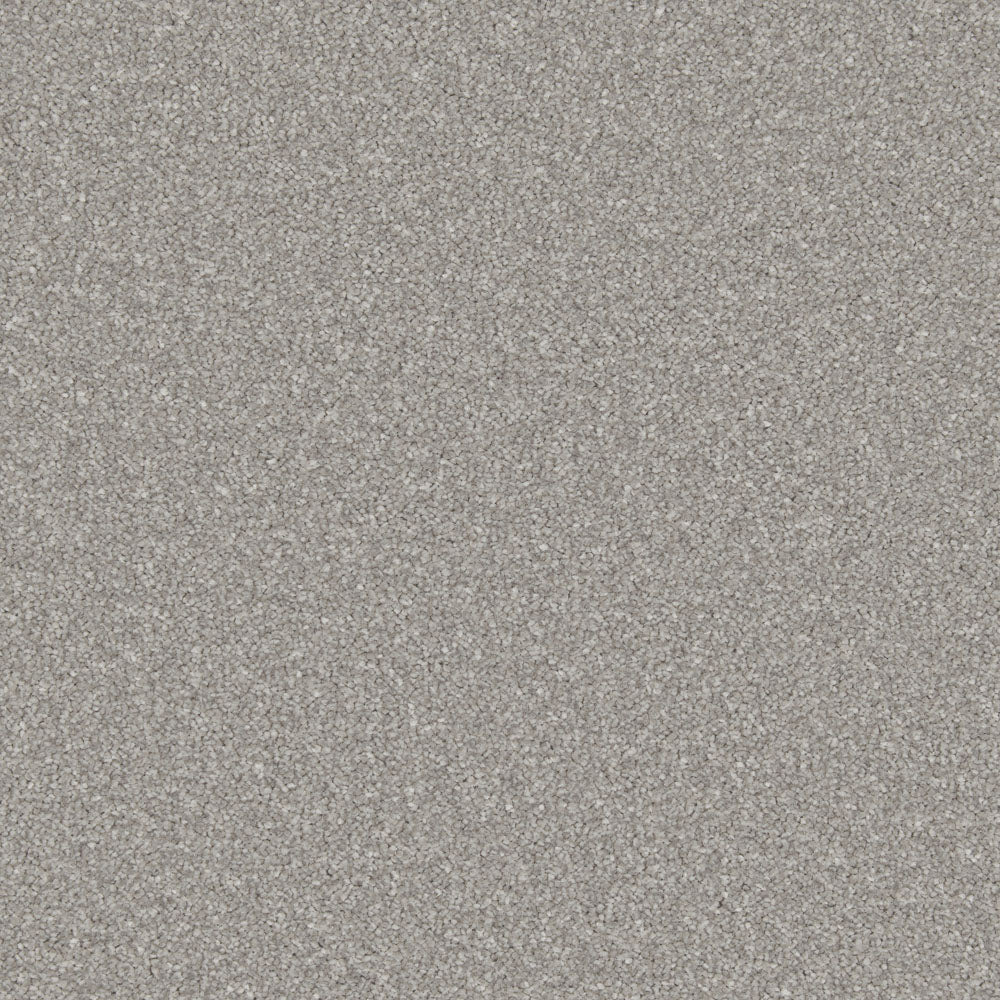 Timeless - Image 4