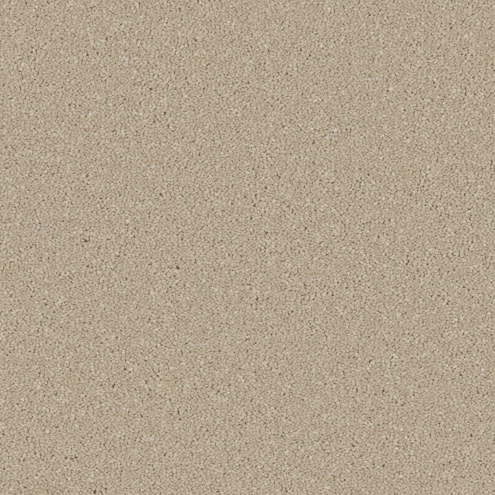 Timeless - Image 6