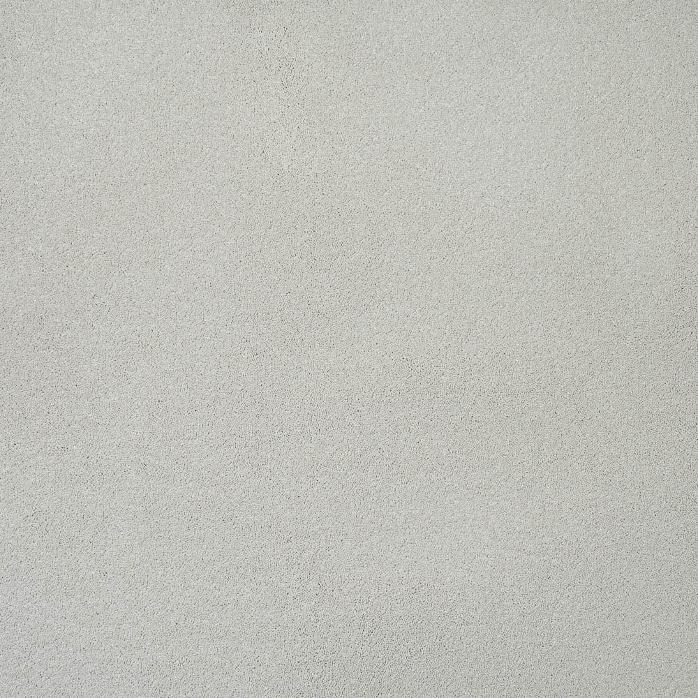 Timeless - Image 8