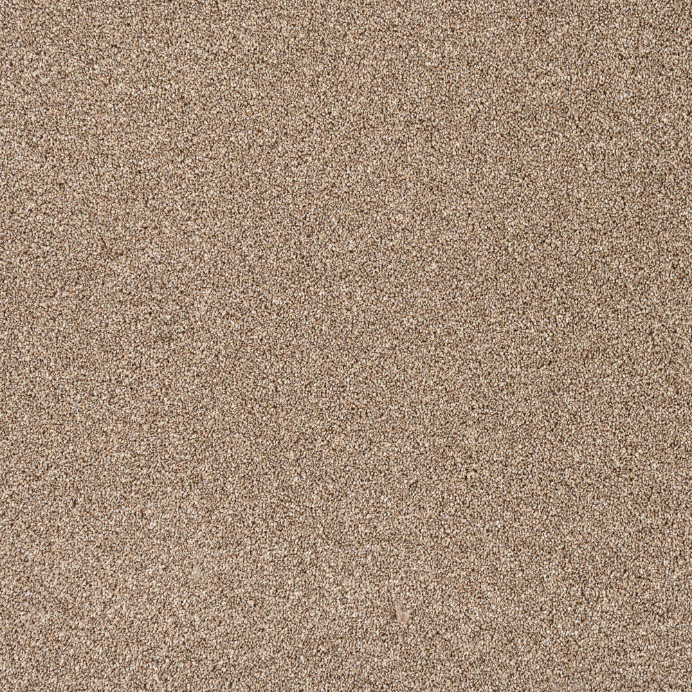 Trident - Image 11