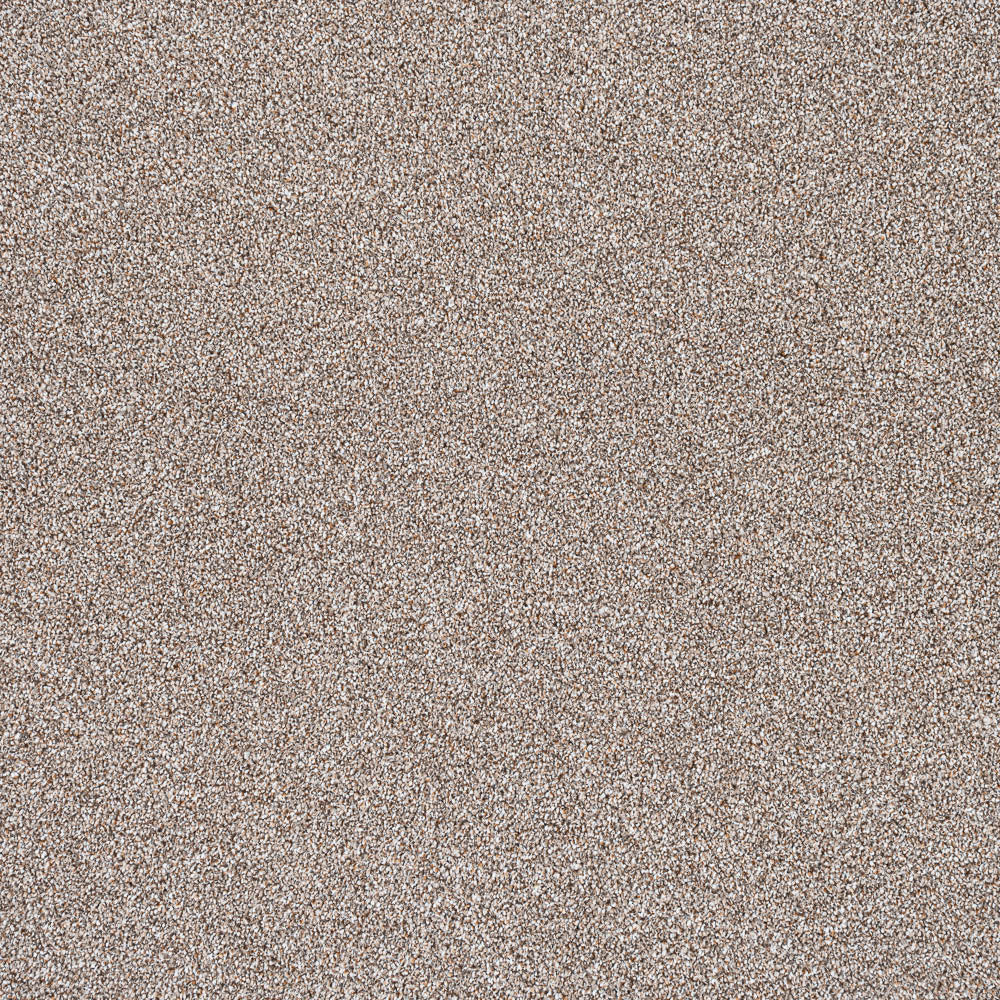 Trident - Image 14