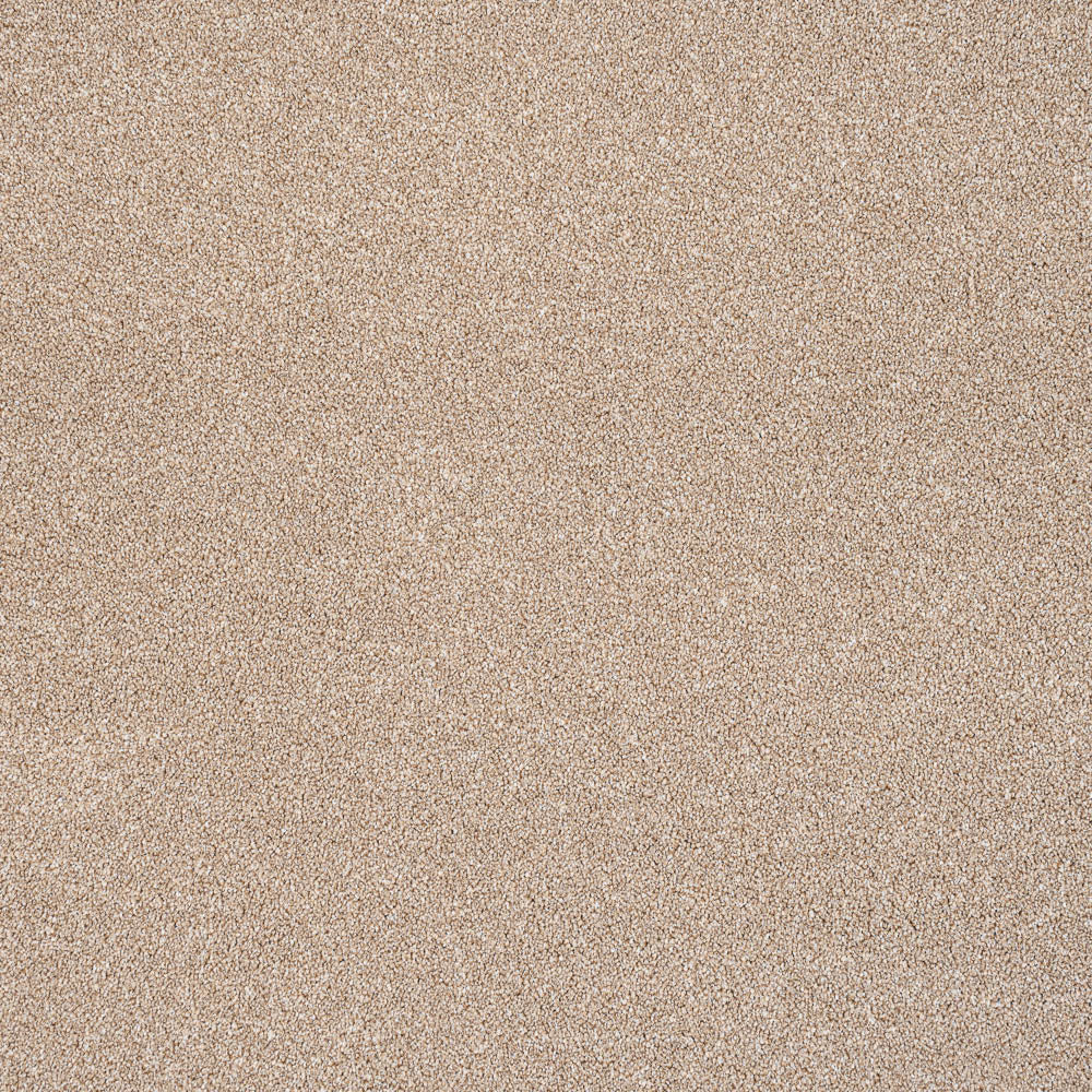 Trident - Image 7