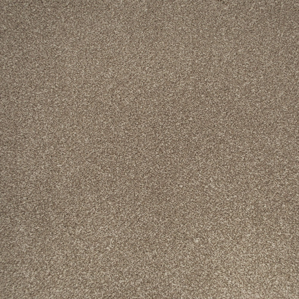 Zeus - Image 4