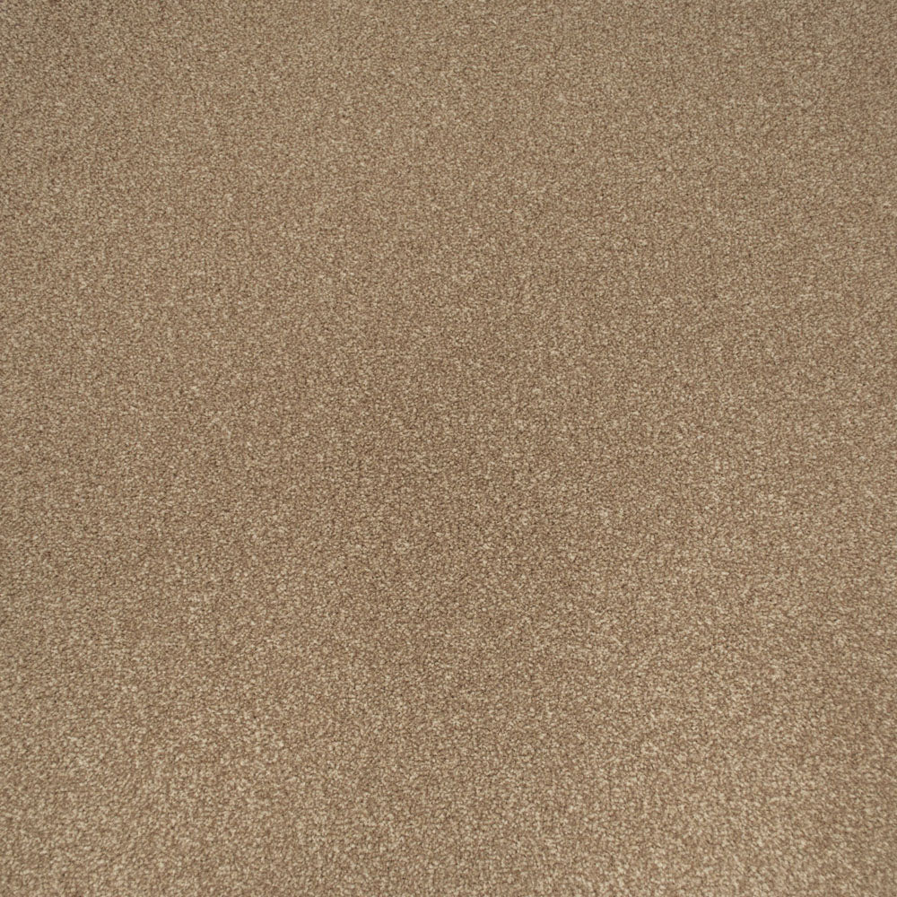 Zeus - Image 5