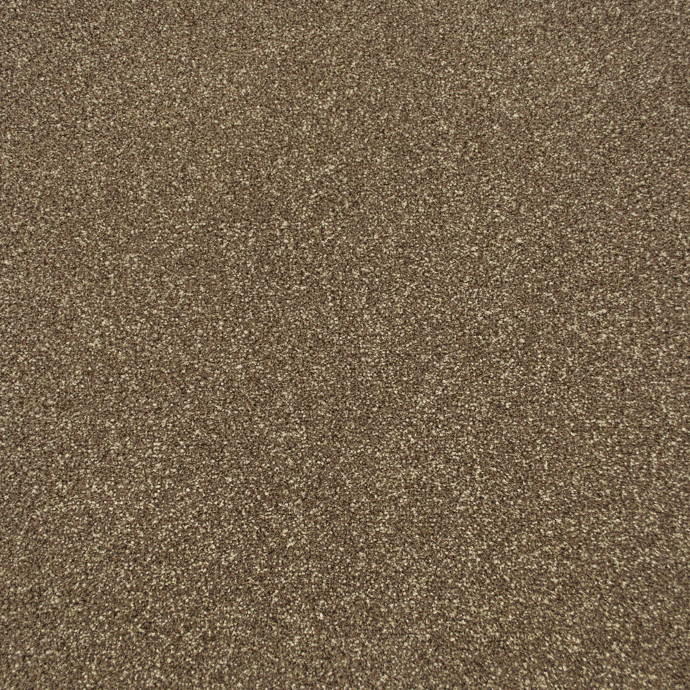 Zeus - Image 6