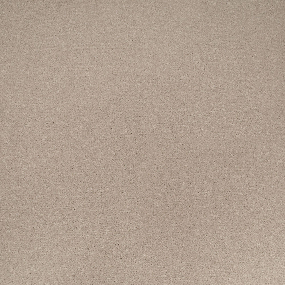 Zeus - Image 7